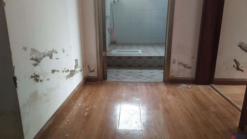 衛(wèi)生間門材質(zhì)與設(shè)計選擇指南